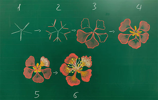 cách vẽ hoa phượng
