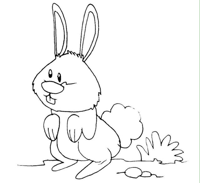 Tranh tô màu con thỏ
