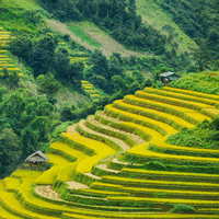 Văn mẫu lớp 12: Tổng hợp mở bài về bài thơ Việt Bắc hay nhất (105 mẫu)