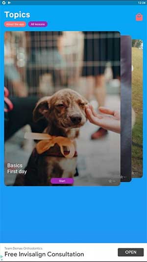 Pocket Puppy School dành cho người mới nuôi cún