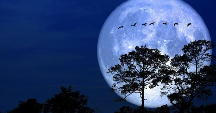 lập dàn ý bài văn miêu tả một đêm trăng
