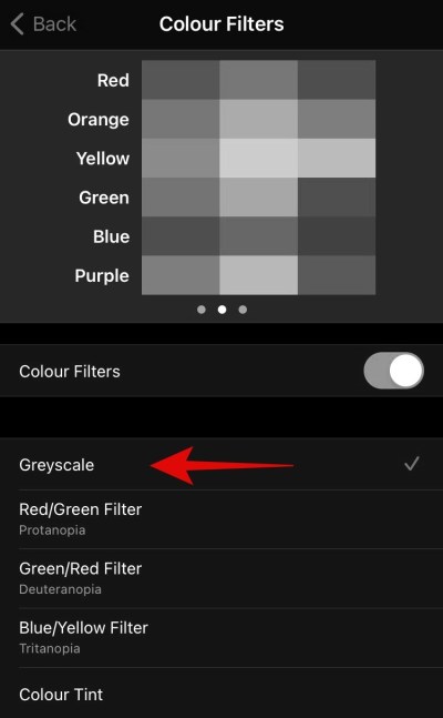 Chọn Grayscale trên iOS