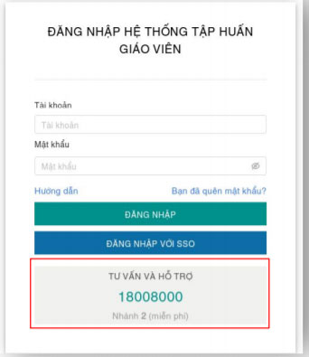 Tư vấn và hỗ trợ