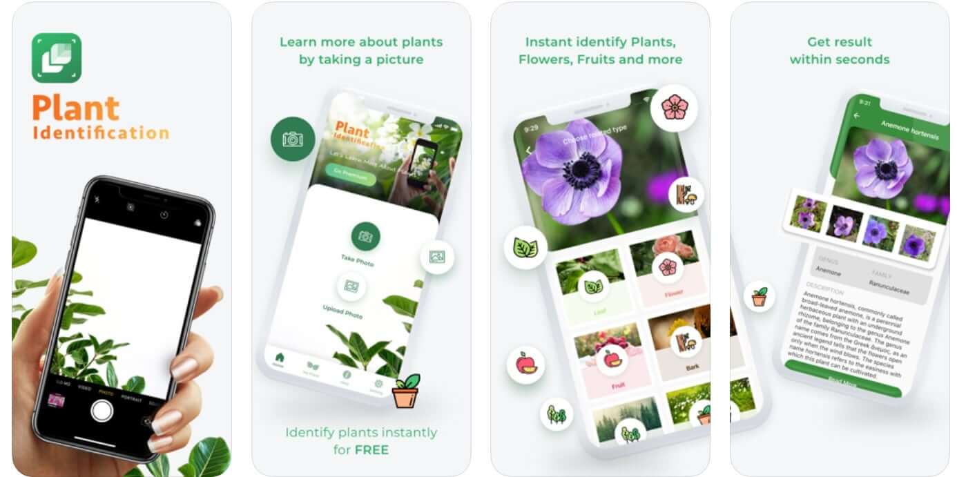 App nhận biết cây LeafSnap