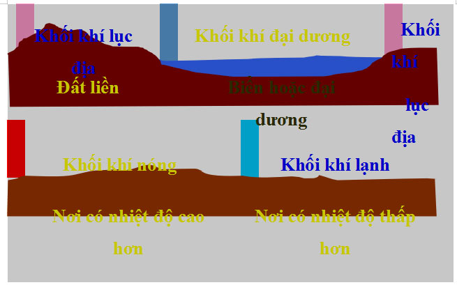 Hình 46