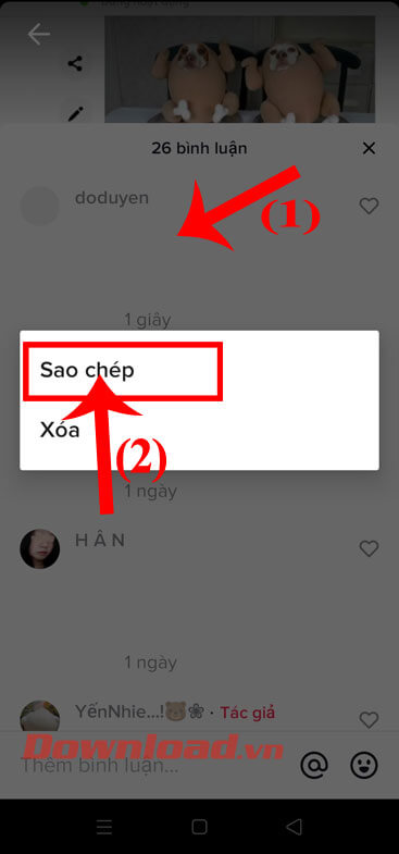 Sao chép bình luận chống