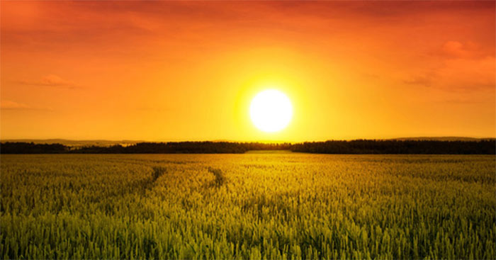 101 mẫu tranh phong cảnh mặt trời đẹp nhất chất lượng cao tải miễn phí