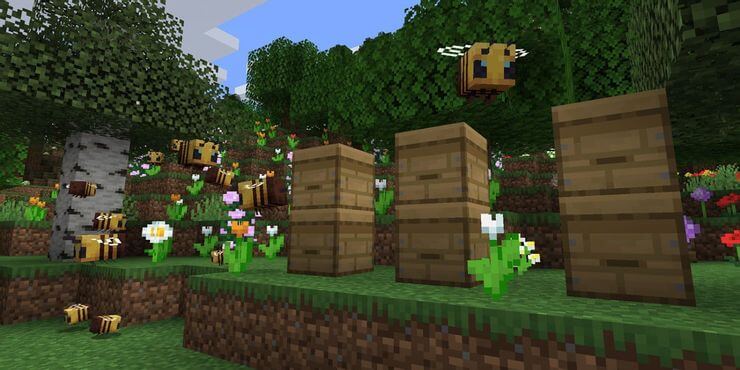 Biome with bees in Minecraft