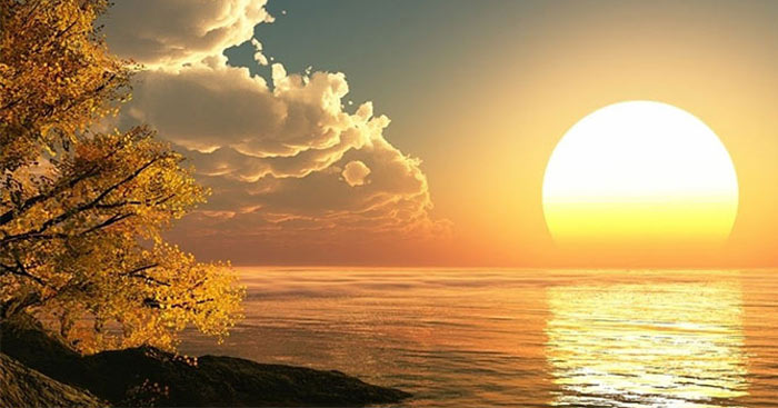 Hình nền Cây ngày nắng Ánh sáng mặt trời đồng cỏ 25 Tháng Bảy 2023