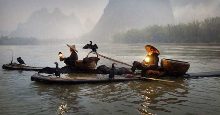 Hình ảnh về người lái đò là một trong nhưng biểu tượng đặc trưng của vùng sông nước Việt Nam. Bạn có muốn khám phá hơn về sự vất vả của những người đàn ông này để kiếm sống? Hãy ngắm nhìn bức ảnh tuyệt đẹp này và cảm nhận sự chân thành và nhân văn của họ.
