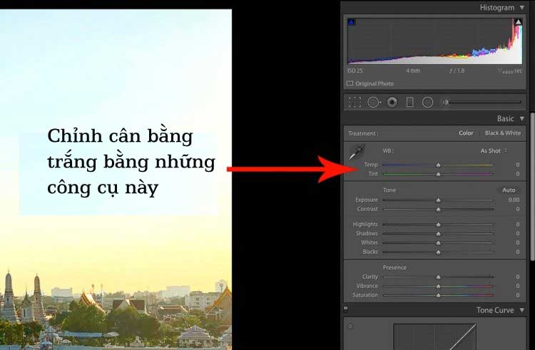 Chỉnh cân bằng trắng trong Lightroom