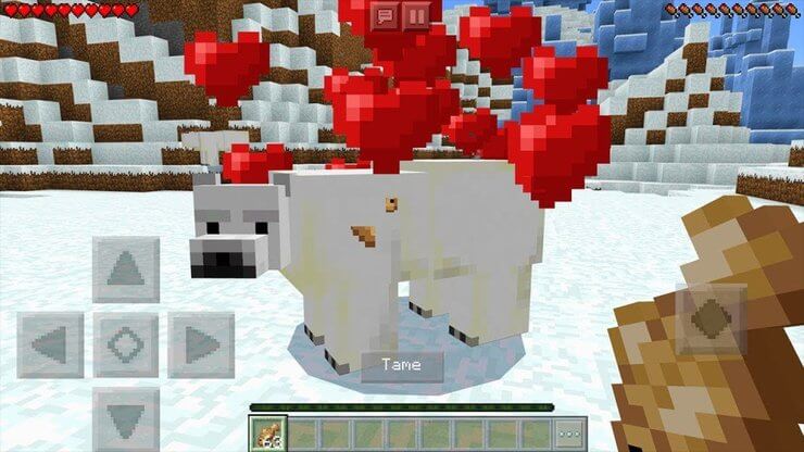 Cách thuần hóa gấu bắc cực trong Minecraft