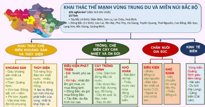 Sơ đồ Tư Duy 7 Vùng Kinh Tế Trường Thpt Nguyễn Đình Chiểu 5612