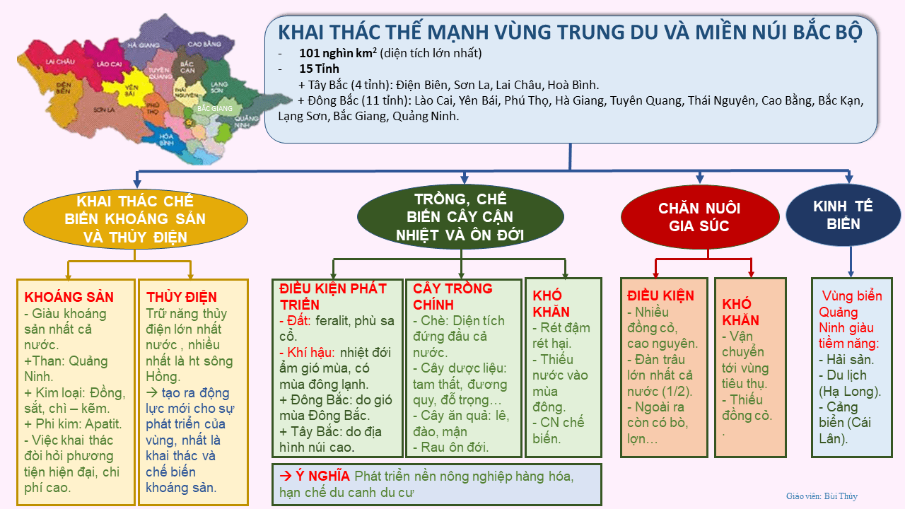 Sơ đồ tư duy 7 vùng kinh tế Sơ đồ hóa kiến thức 7 vùng kinh tế Việt Nam