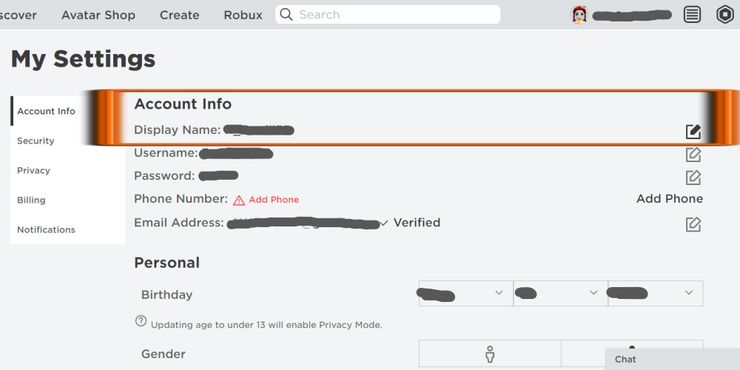 Roblox Account Information