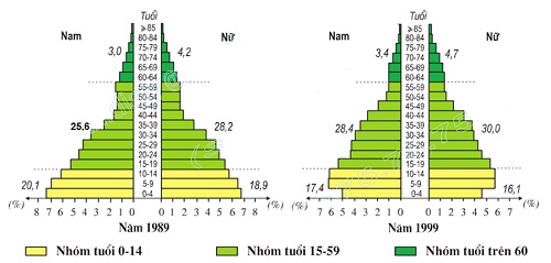 Địa lí 9 Bài 5: Thực hành Phân tích và so sánh tháp dân số năm 1989 và năm 1999 Soạn Địa 9 trang 18