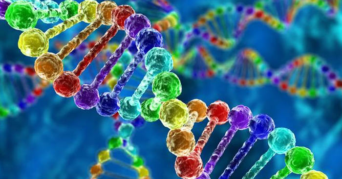 Các ứng dụng của công nghệ gen trong di truyền học lớp 9 là gì?
