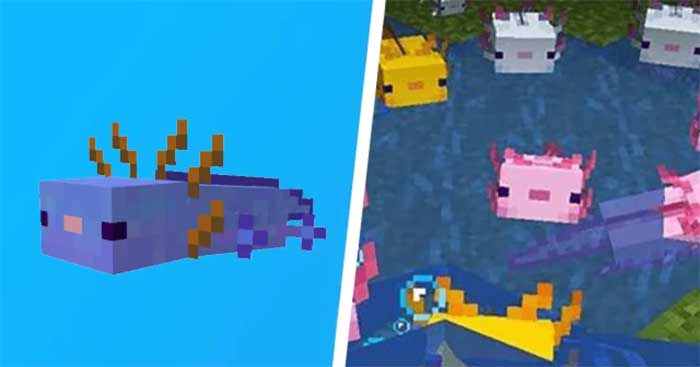 Axolotl trong Minecraft