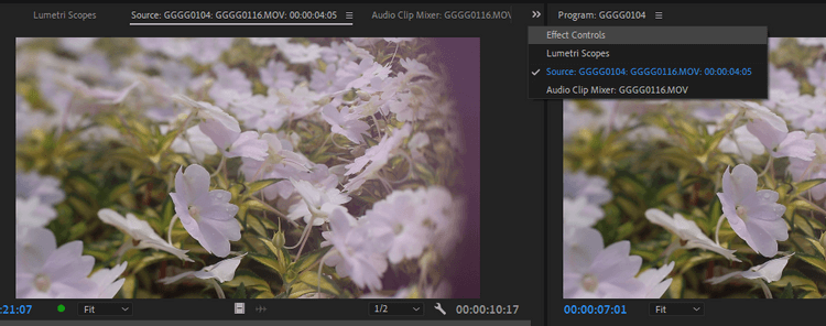 Hiệu ứng cố định trong Adobe Premiere Pro