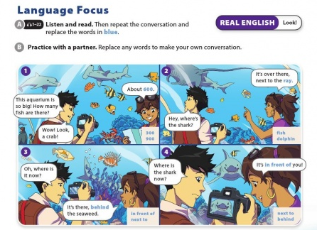 Tiếng Anh 6 Unit 3: Language Focus Soạn Anh 6 trang 30 sách Cánh diều