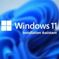 Cách dùng Windows 11 Installation Assistant để cài Windows 11