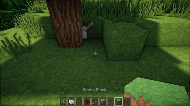 Ẩn cửa hầm Minecraft bằng khối cỏ
