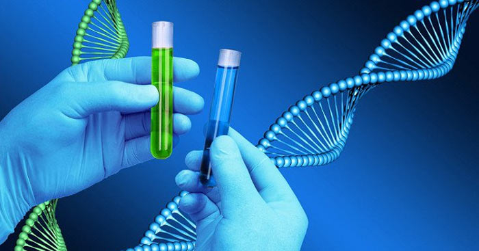 Quy trình tự nhân đôi ADN diễn ra như thế nào?
