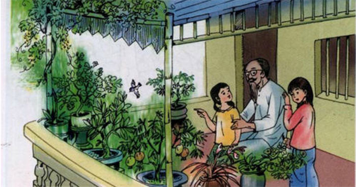 Soạn bài Chuyện một khu vườn nhỏ trang 102 Tiếng Việt Lớp 5 tập 1 – Tuần 11