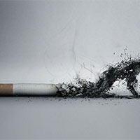 Văn mẫu lớp 9: Đoạn văn nghị luận về tác hại của thuốc lá (7 mẫu)