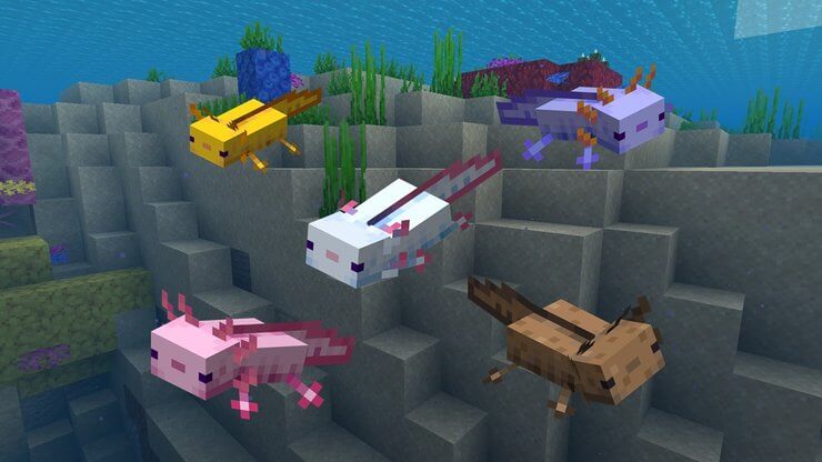Mob Minecraft Axolotl
