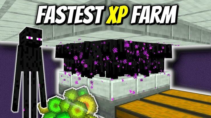 Một trong số phương pháp farm XP nhanh nhất