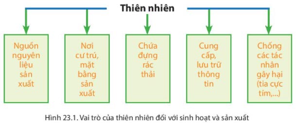 Hình 23.1