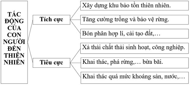 Sơ đồ 2