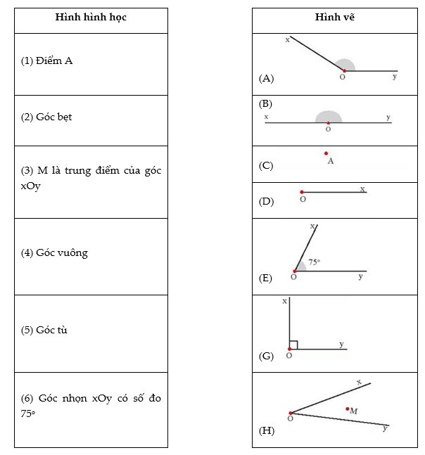 Toán 6 Bài tập cuối chương 8 – Chân trời sáng tạo Giải Toán lớp 6 trang 96, 97, 98 – Tập 2