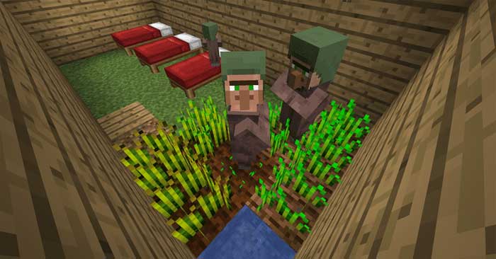 Trồng lúa mì để nhân giống dân làng của bạn trong Minecraft.
