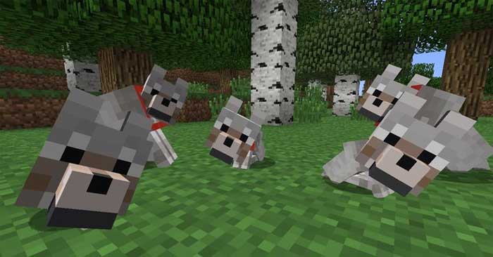 Cá nóc có thể làm nguồn thức ăn cho sói trong Minecraft