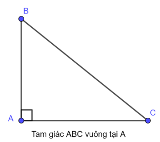 Tam giác vuông: Khái niệm, tính chất, cách chứng minh và bài tập Diện tích tam giác vuông