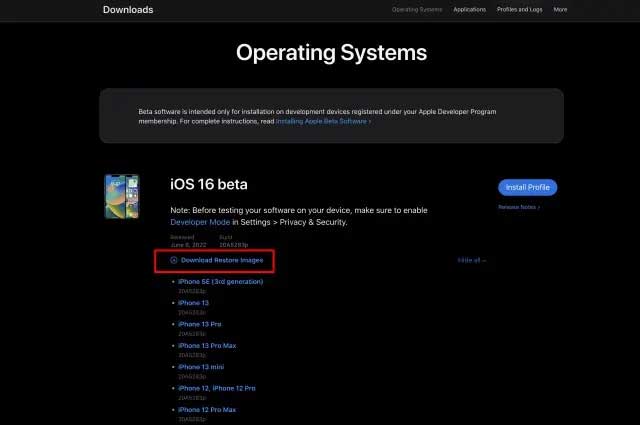 Cài iOS 16 beta