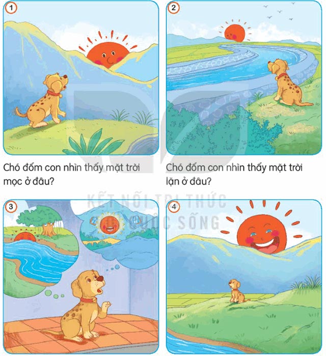 Chó đốm con và mặt trời