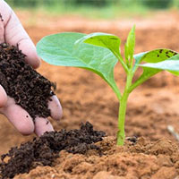 Công nghệ 7 Bài 2: Làm đất trồng cây