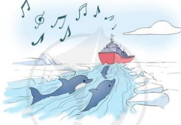 Đàn cá heo và bản nhạc