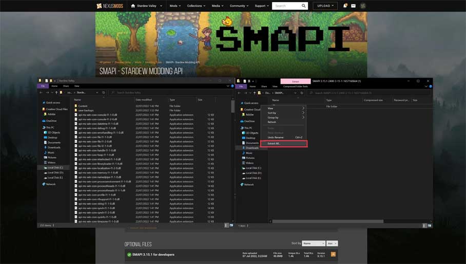 Install SMAPI