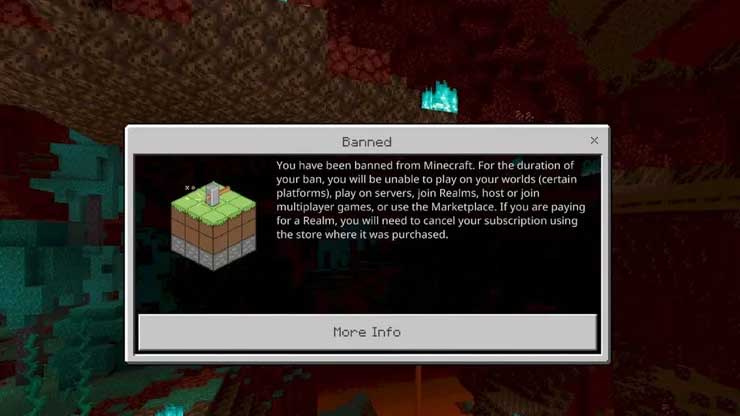 Minecraft reporting system