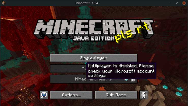 Please note that multiplayer mode is disabled in Minecraft