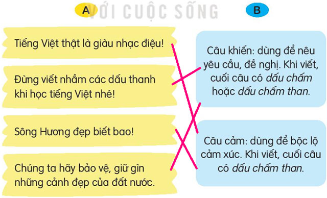 Nối câu