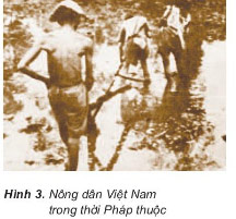 Photo of Lịch sử lớp 5 Bài 4: Xã hội Việt Nam cuối thế kỉ XIX – Đầu thế kỉ XX Giải bài tập Lịch sử 5 trang 10