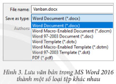MS Word 2016