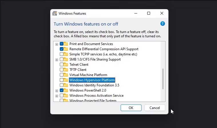   Windows Hypervisor Platform