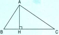 Độ cao của tam giác