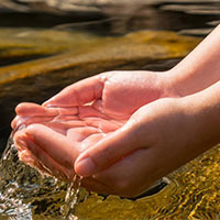 KHTN Lớp 7 Bài 28: Vai trò của nước và các chất dinh dưỡng đối với cơ thể sinh vật